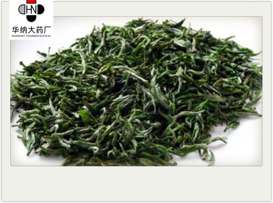 Catechols 80%（HPLC）/polyphenol 95%（UV）  Green Tea Extract  GMP/DML/Registered in Korea，Pharmaceutical grade