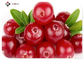 10：1 Food Grade Water Soluble Cranberry Extract Powder